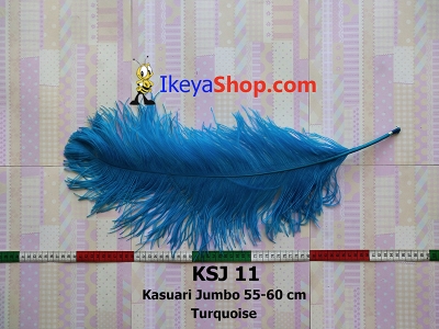 KSJ 11  large2